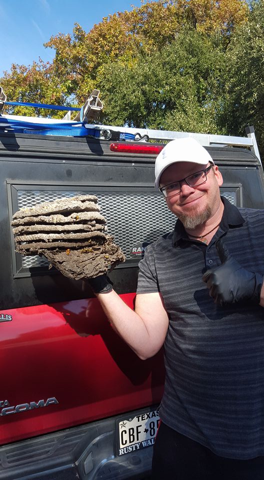Lake Highlands Pest Control Team
